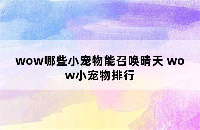 wow哪些小宠物能召唤晴天 wow小宠物排行